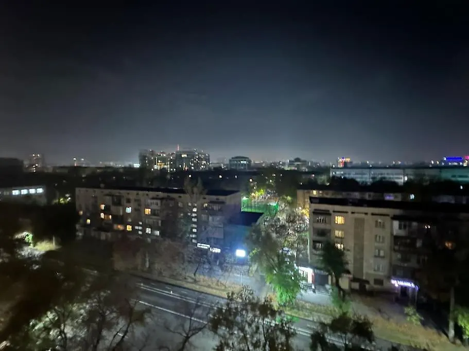 Шикарная 3 Комнатная Квартира Almaty Apartment